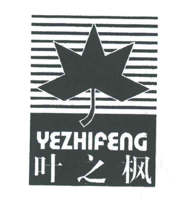 叶之枫