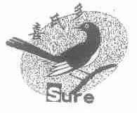 喜氏多;SURE