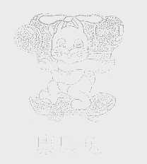 康康兔