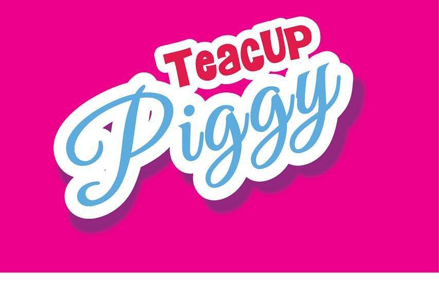 TEACUP PIGGY