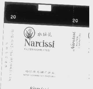 水仙花   NARCISSI