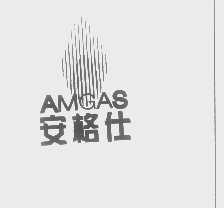 安格仕   AMGAS