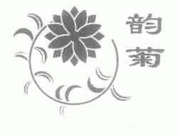 韵菊