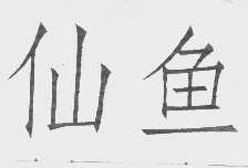 仙鱼
