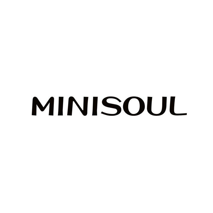 MINISOUL
