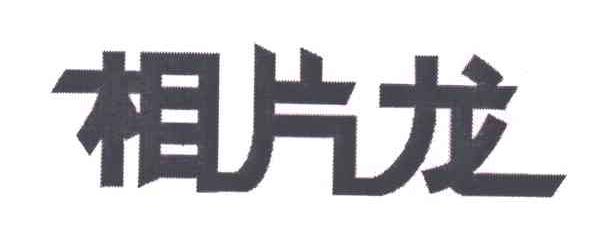 相片龙