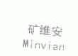 矿维安;MINVIAN