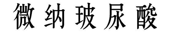 微纳玻尿酸