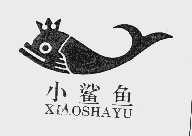 小鲨鱼