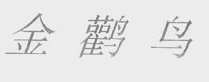 金鹳鸟