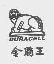 金霸王   DURACELL