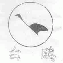 白鸥