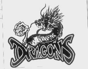 DRAGONS