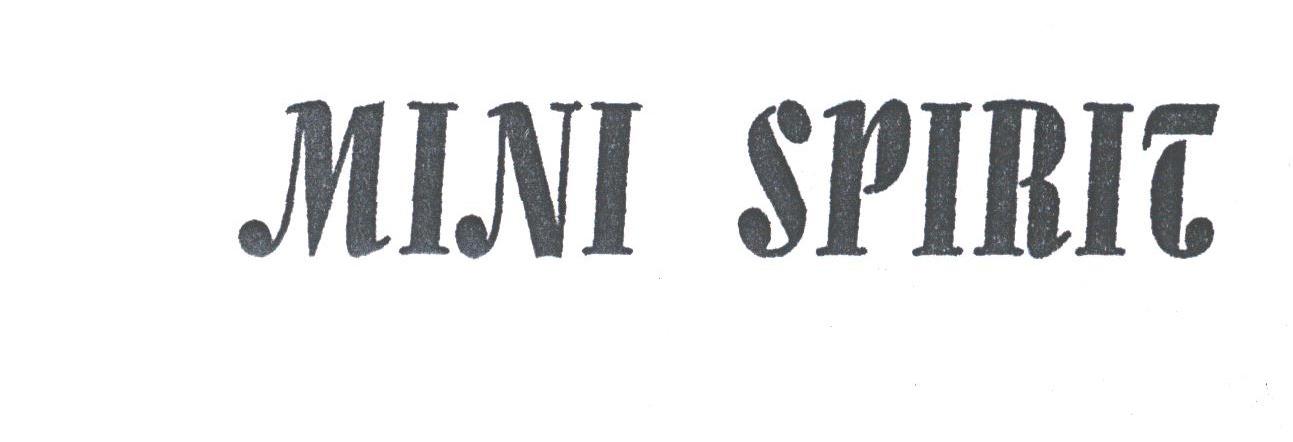 MINI SPIRIT