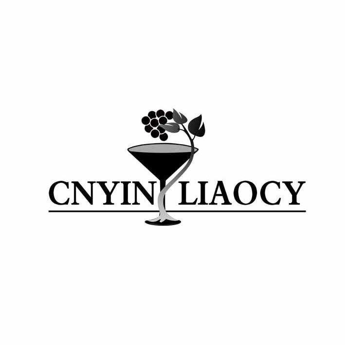 CNYINLIAOCY