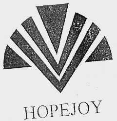 HOPEJOY