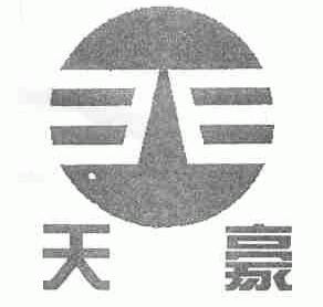 天豪