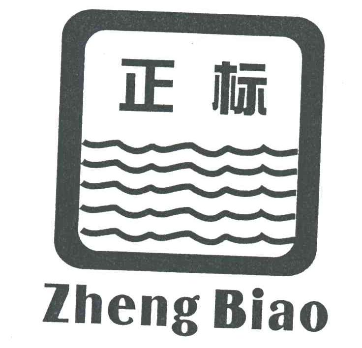 正标