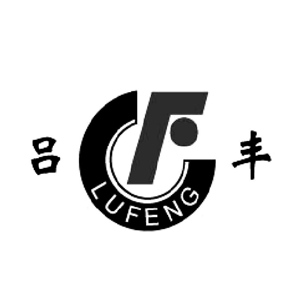 吕丰 LF