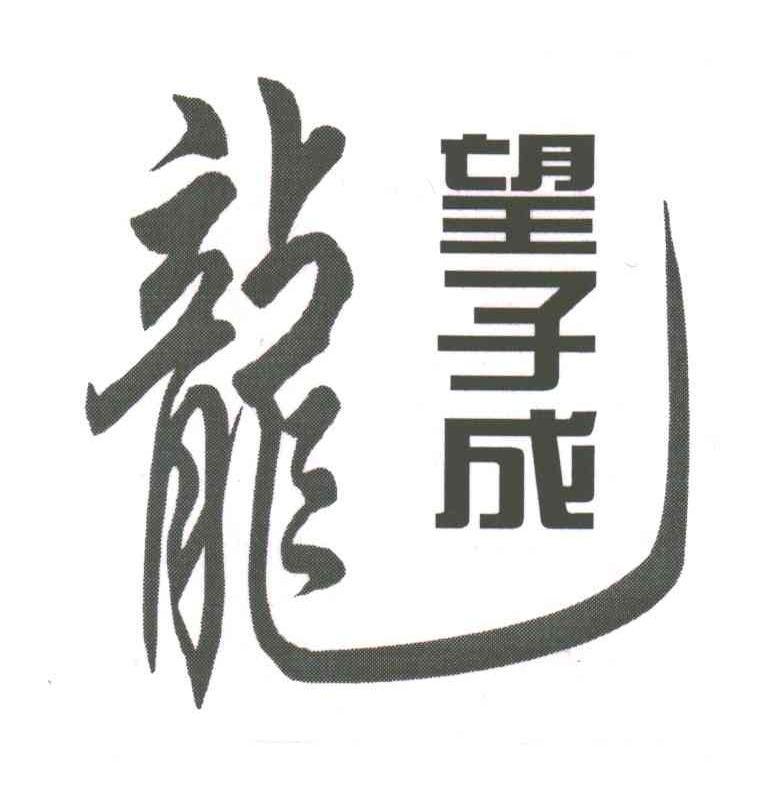 望子成龙