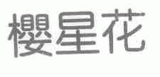 樱星花