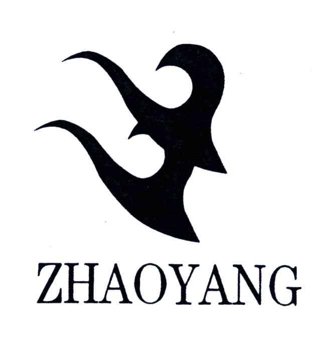 ZHAO YANG