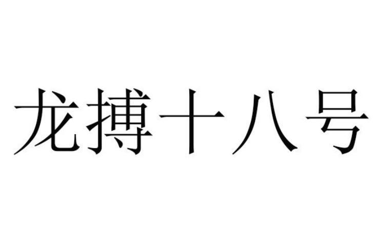 龙搏十八号