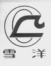 雪洋
