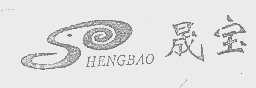 晟宝   HENGBAO