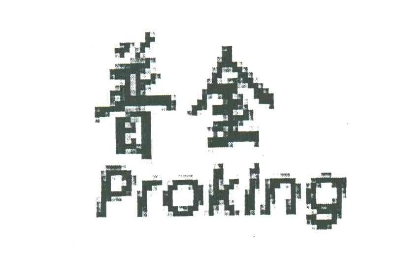 普金;PROKING