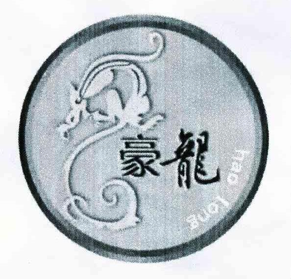 豪龙