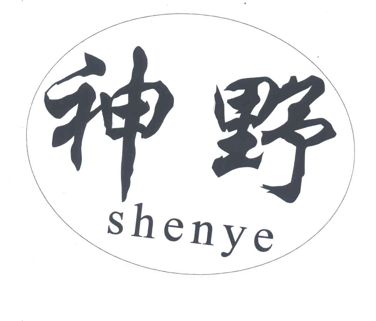 神野;SHENYE