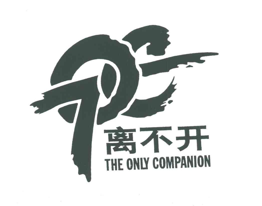 离不开;THE ONLY COMPANION
