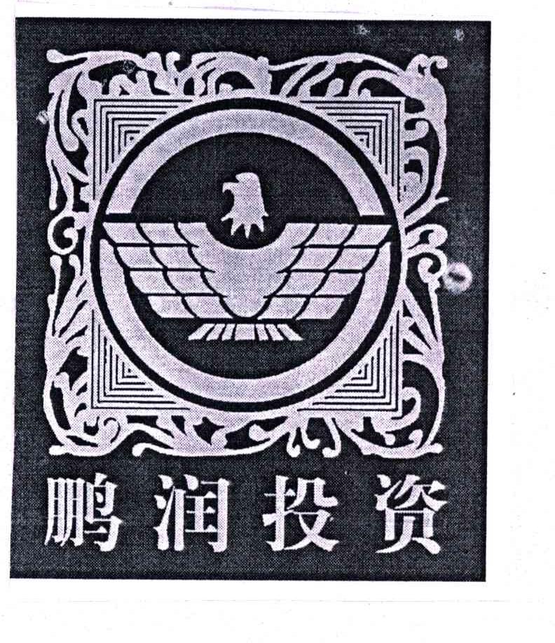 鹏润投资