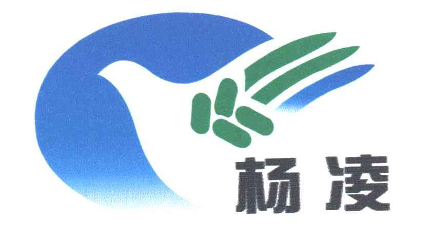 杨凌
