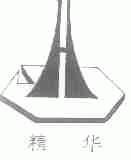精华