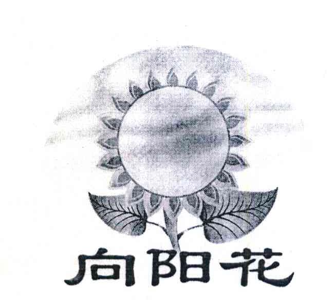 向阳花