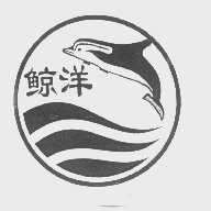 鲸洋