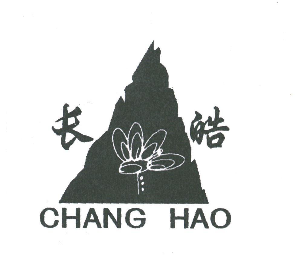 长皓