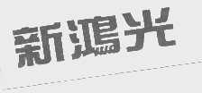 新鸿光