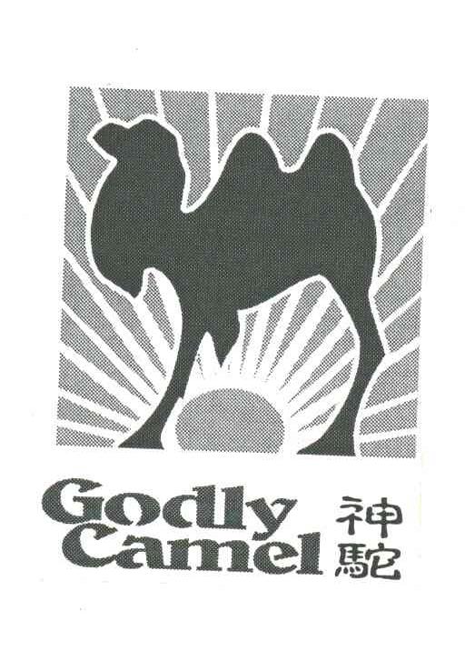 神驼GODLY CAMEL及图