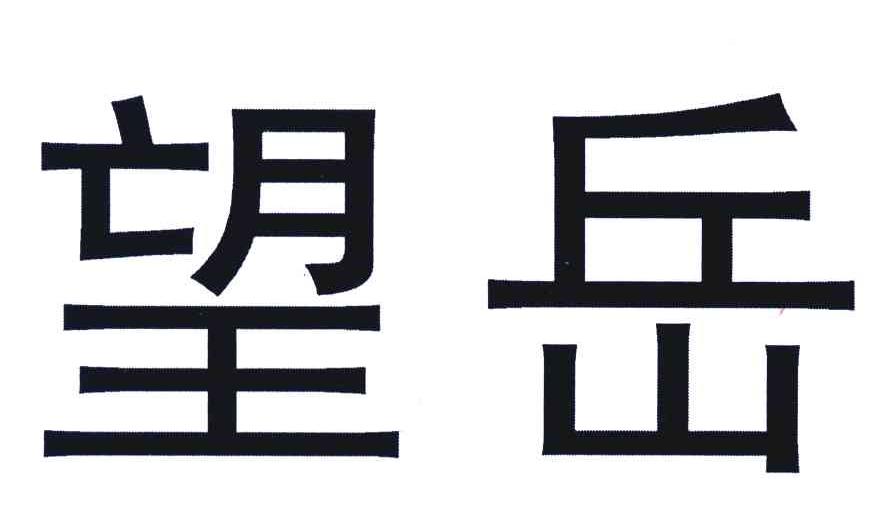 望岳