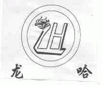 龙哈