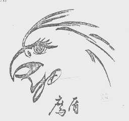 鹰盾