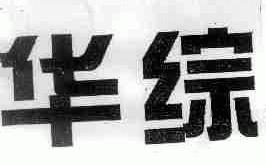 华综