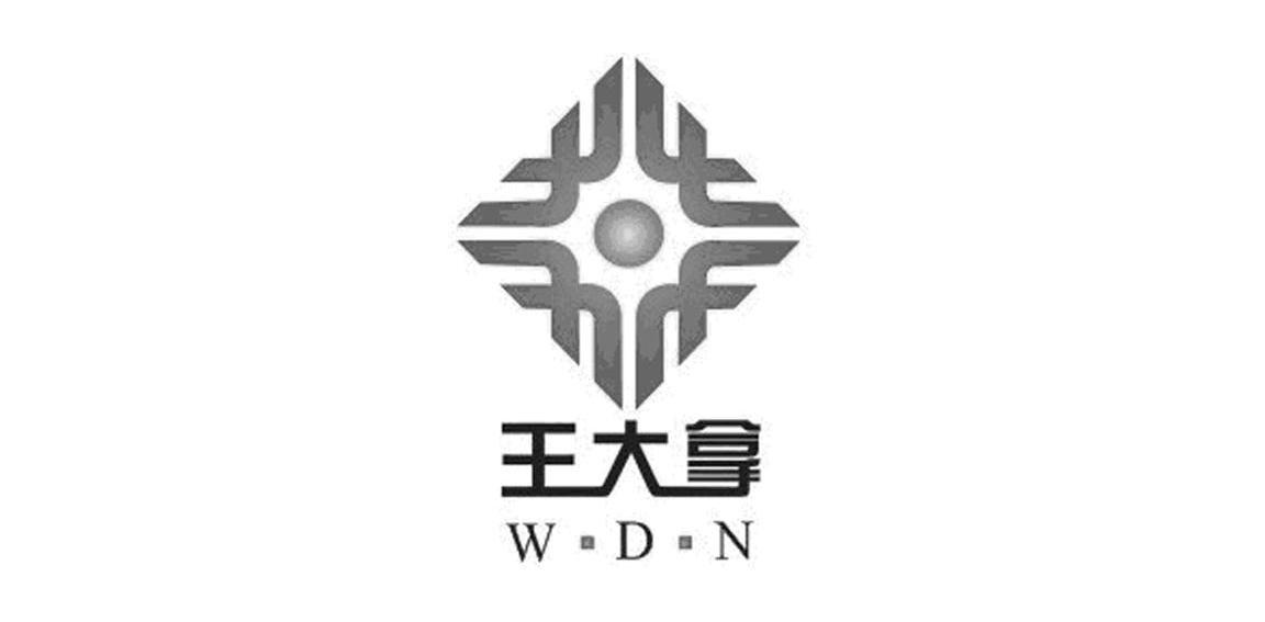 王大拿 WDN