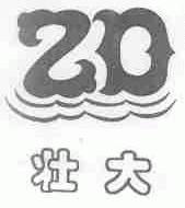 壮大