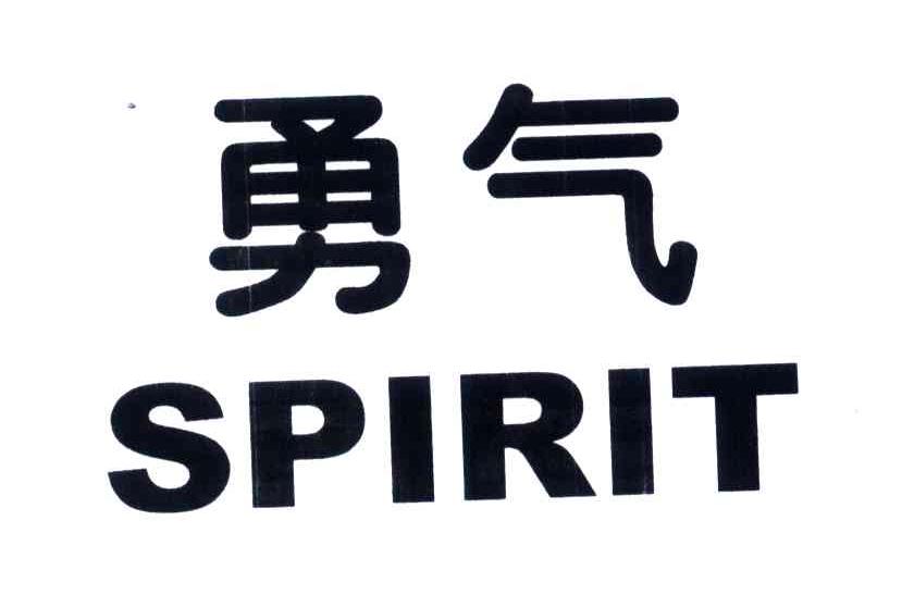 勇气;SPIRIT