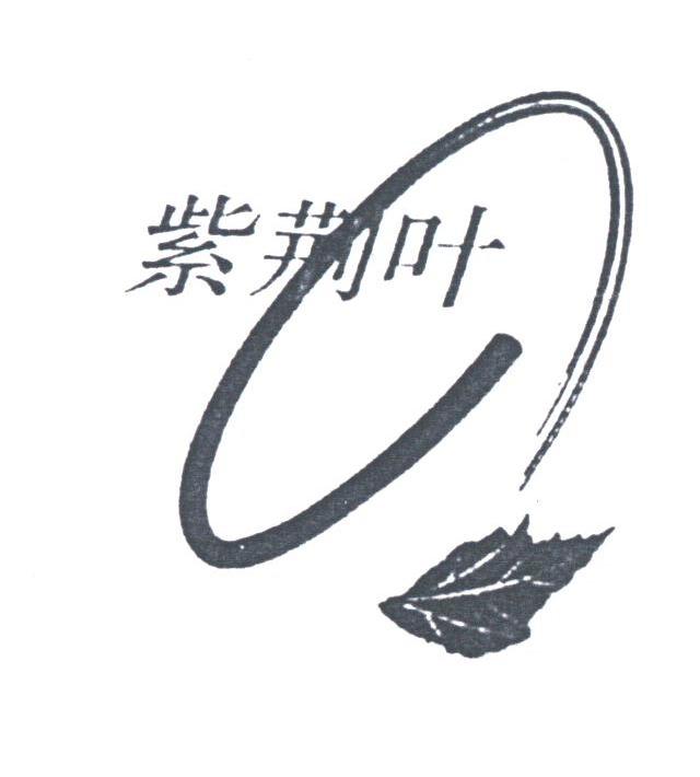 紫荆叶