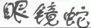 眼镜蛇